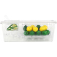 Présentoir à condiments réfrigéré comprenant 1 récipient GN 1/3 + 1 récipient GN 1/6 de 100 mm avec couvercle, en plastique | Adexa CHP06B3