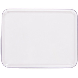 Plateau de présentation transparent en polycarbonate (PC) 300 x 240 x 22 mm | Adexa GZFH7144