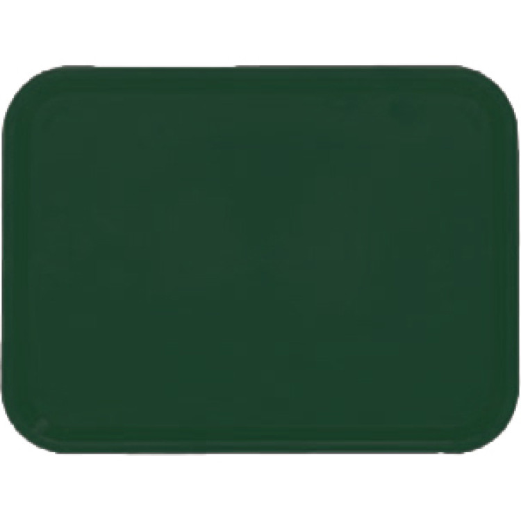 Plateau de restauration rapide en plastique ABS vert 425 x 310 x 19 mm | Adexa GZFH736