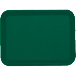 Plateau de restauration rapide en plastique ABS vert 434 x 318 x 19 mm | Adexa GZFH744