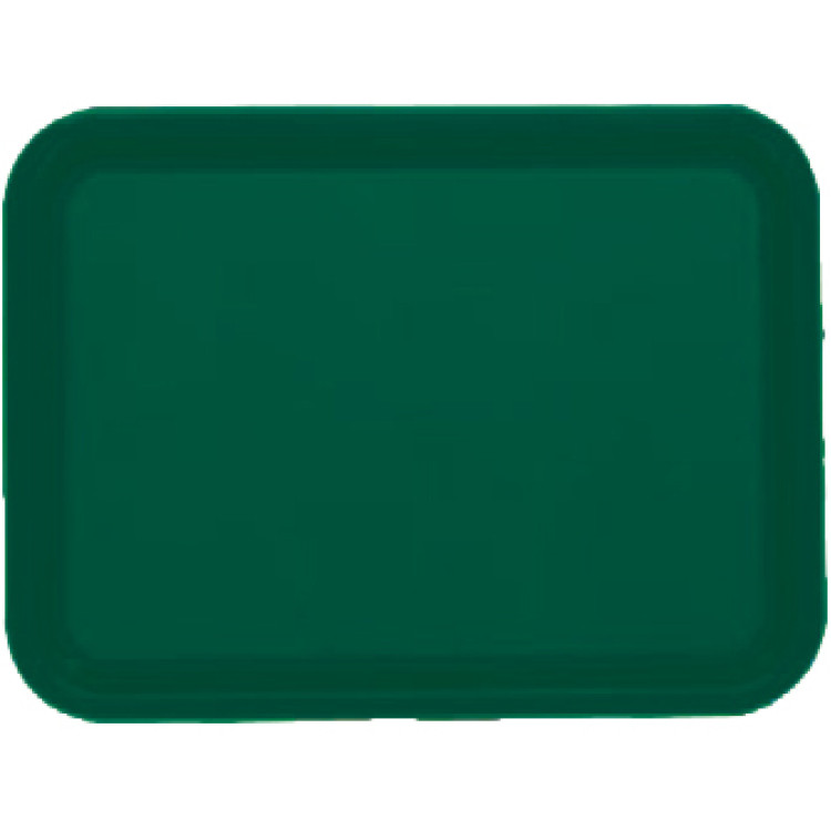 Plateau de restauration rapide en plastique ABS vert 434 x 318 x 19 mm | Adexa GZFH744