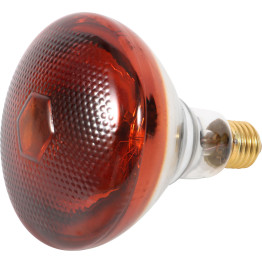 Lampe Chauffante IR 250W Rouge | Adexa HLRI01 Lampe Chauffante IR 250W Rouge | Adexa HLRI01