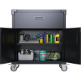 Armoire à outils mobile professionnelle en acier noir, 2 portes, 1 tiroir, 800 x 420 x 900 mm | Adexa SART222