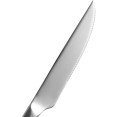 Couteau à steak professionnel haut de gamme Elin en acier inoxydable 233 mm | Adexa WB6062